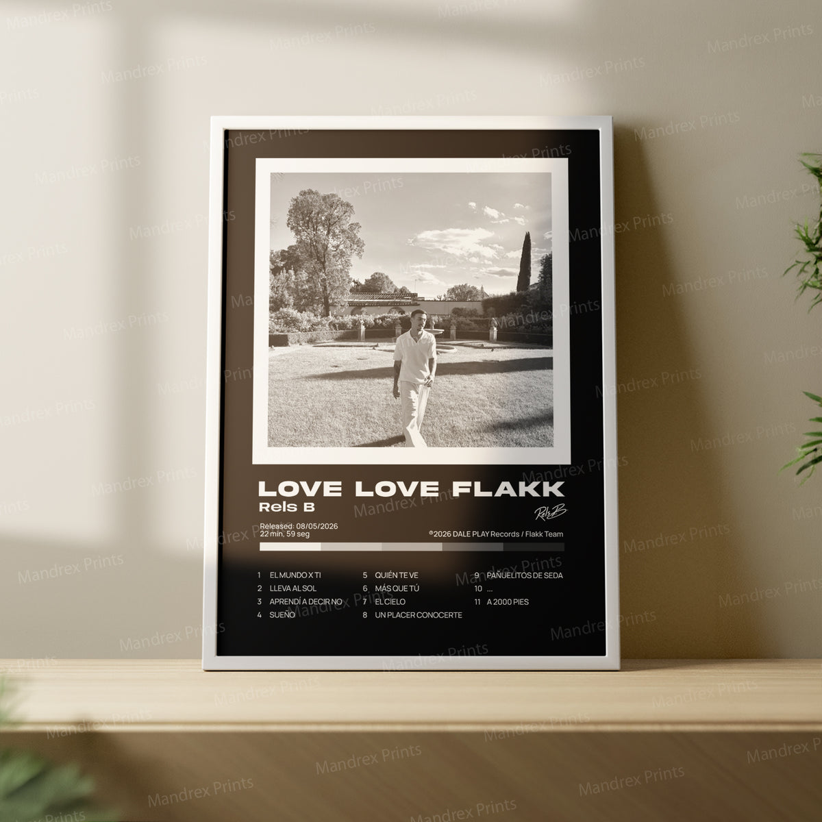 Love love flakk – Póster Digital Rels B