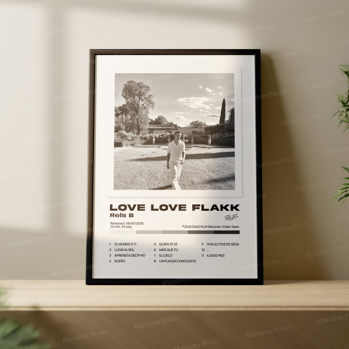 Love love flakk – Póster Digital Rels B