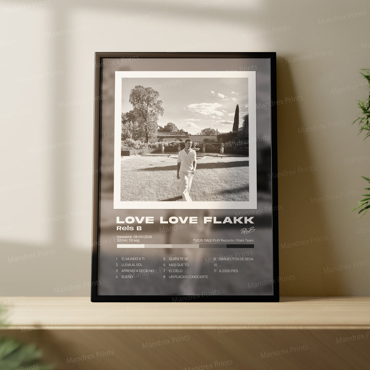 Love love flakk – Póster Digital Rels B